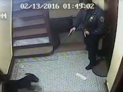 NYPD shoots dog