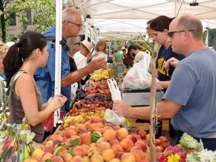 farmers market