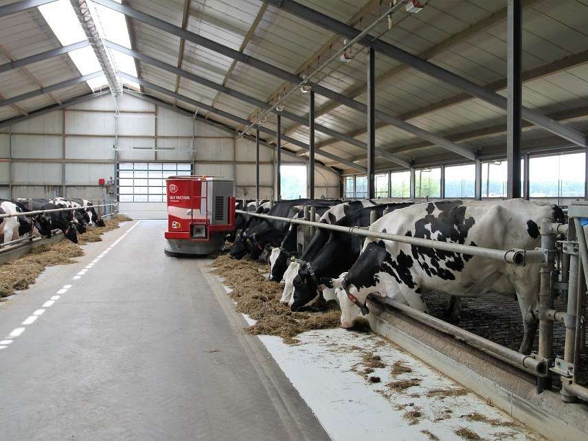 dairy farm