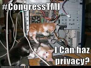 the aclu deploys lolcats
