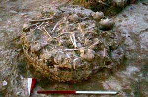 oldest mass grave