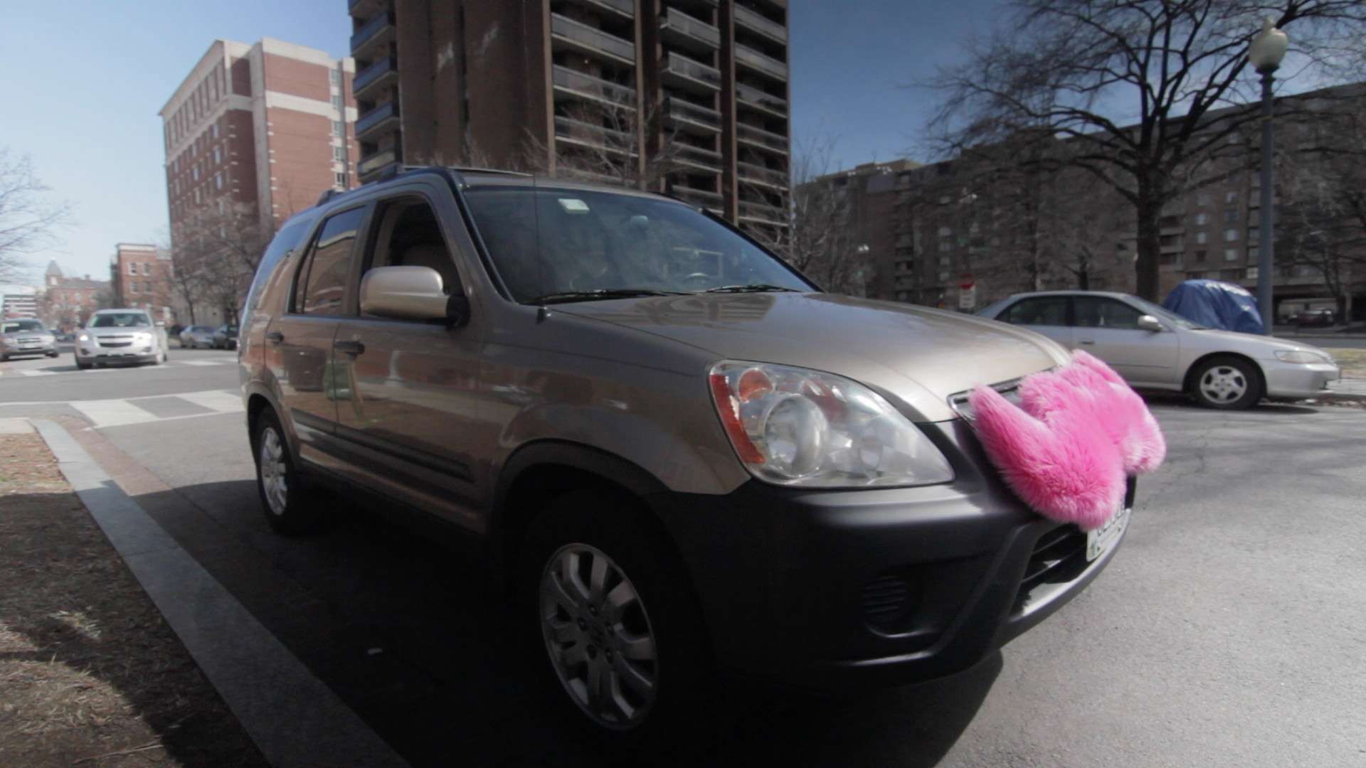 A giant pink mustache lets customers identify Lyft cars. |||