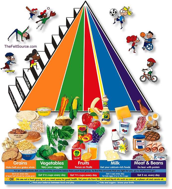 Can't Wait to See That New Food Pyramid!