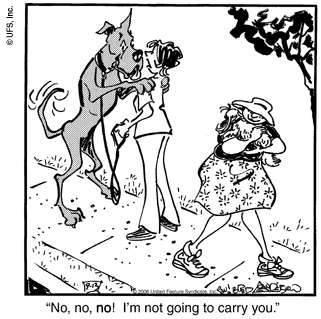 Method #14,871 of communicating the concept that Marmaduke is a large dog.
