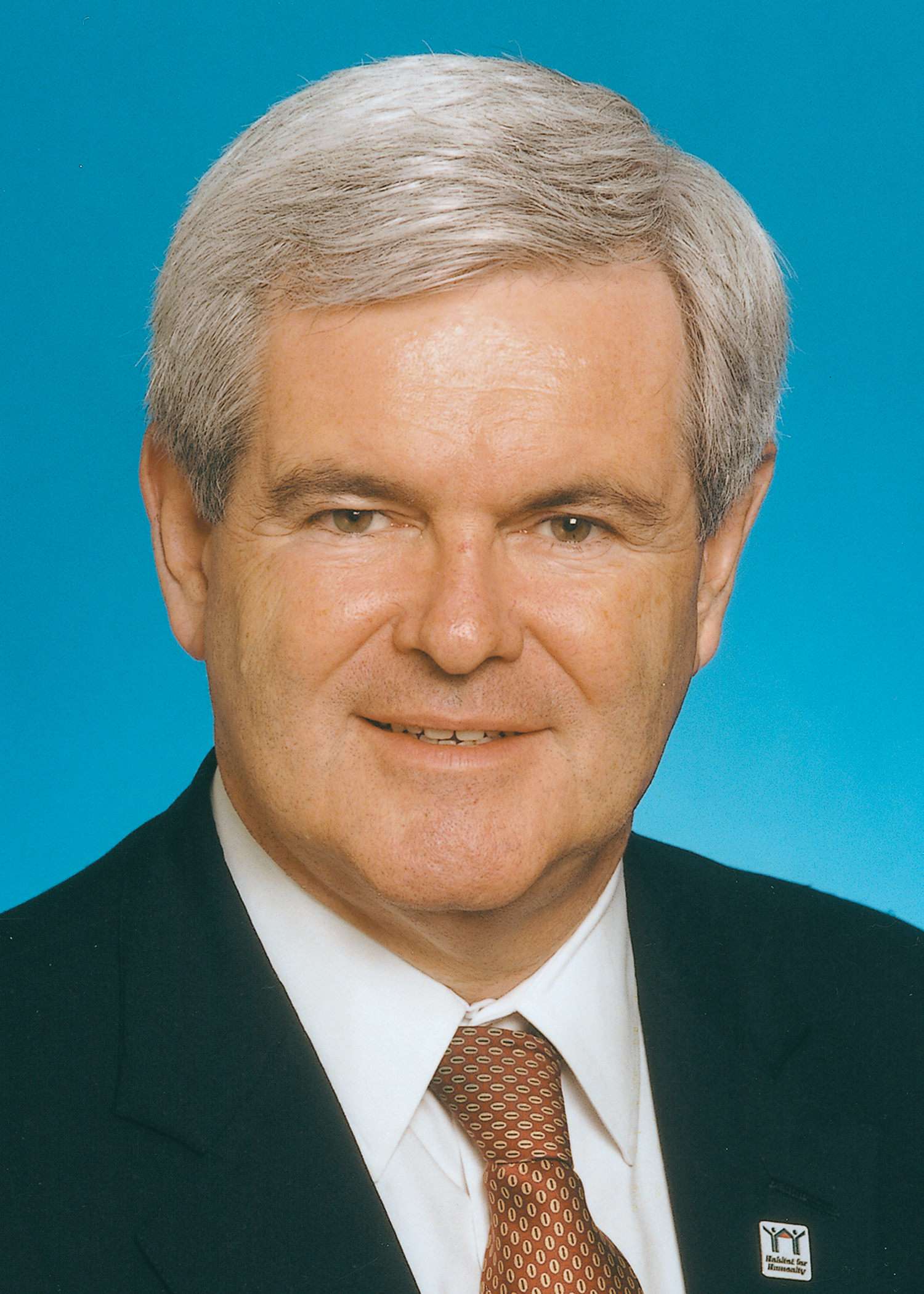 Newt Gingrich Candidate Profile