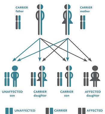 Recessive