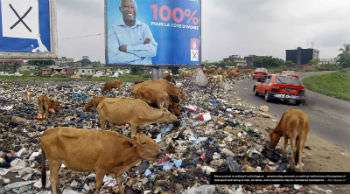 Ivoire Garbage