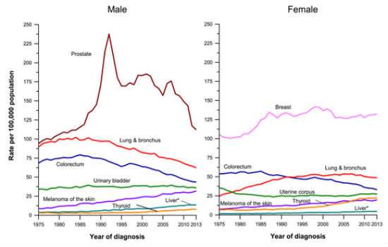 CancerIncidence2017