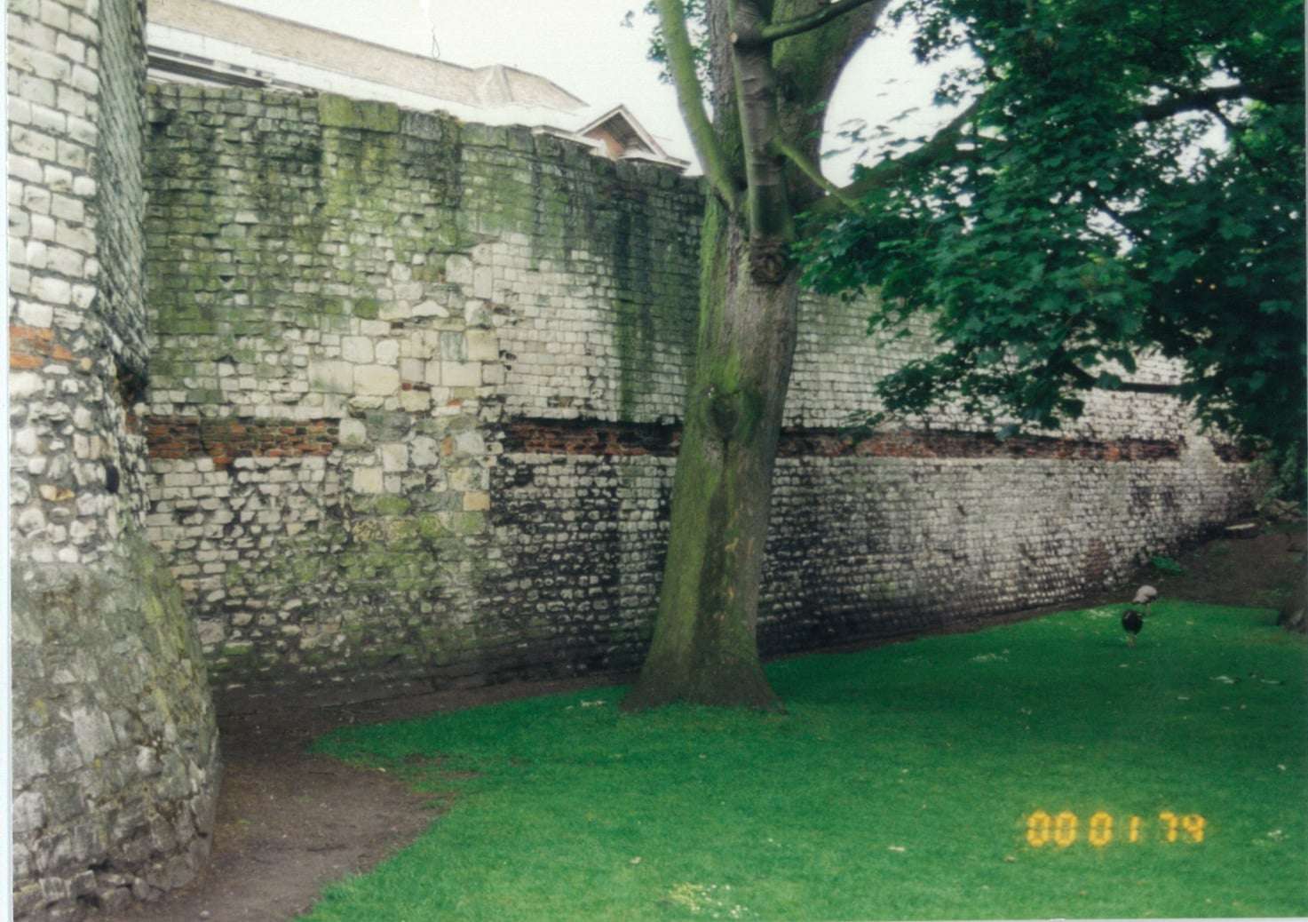 Multi-angle tower York