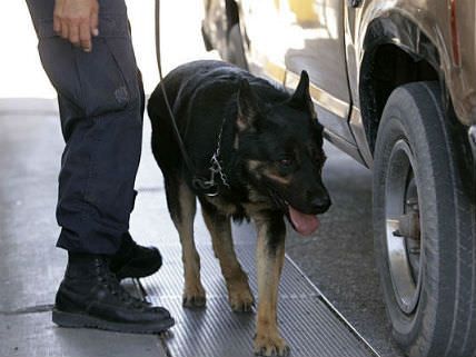 Do Drug Dogs Smell Adderall