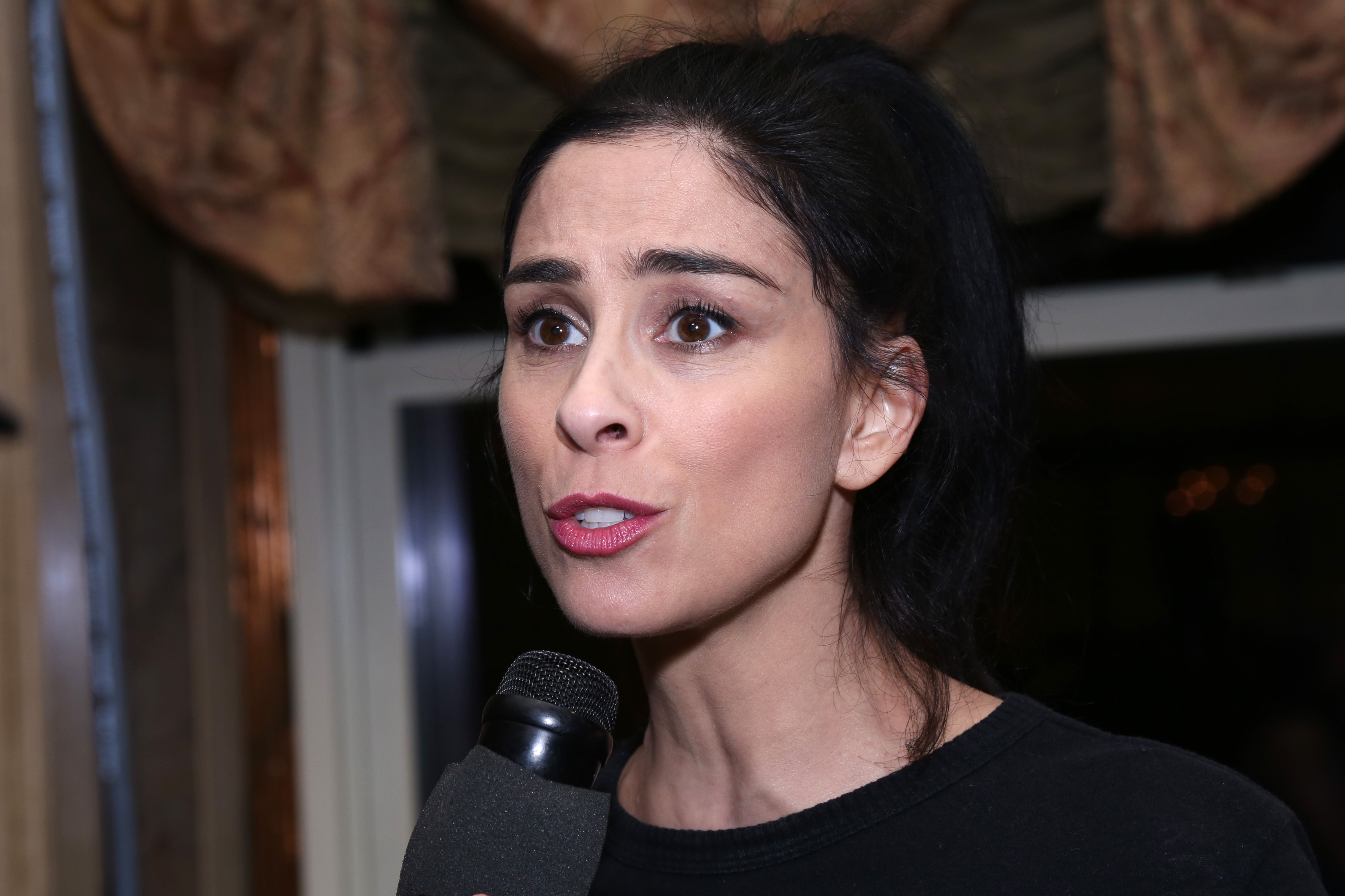 Sarah Silverman, Biography, Films, & Facts