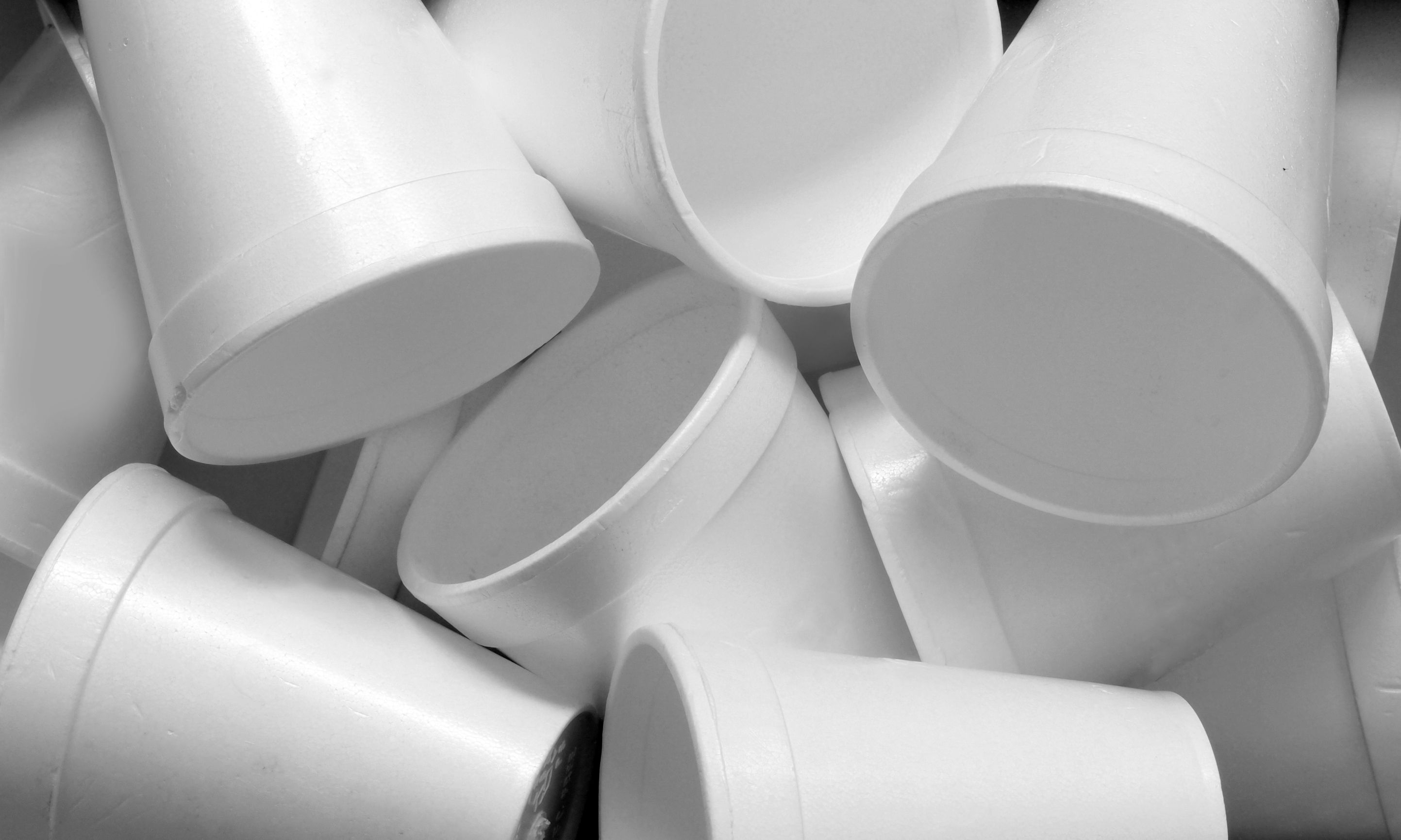 Is the 30-Year-Long Styrofoam War Nearing Its End? - JSTOR Daily